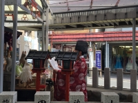 Event ｊｒ甲子園口ほんわか商店街 Jr甲子園口駅南側に広がる西宮市最大級の歴史ある大型商店街